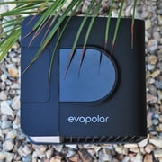 Evapolar evaSMART Personal Portable Air Cooler and Humidifier, Gray