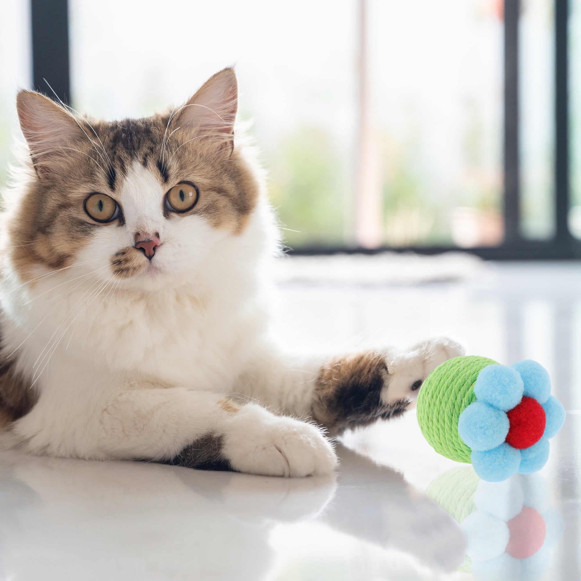 Unique Bargains Safe Teeth Cleaning Chew Balls Green