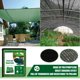 thumbnail image 3 of Toldo de vela para sombra de sol cubierta de invernadero de Ehuebsd plantas Patio exterior invernadero, 3 of 9