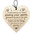 thumbnail image 3 of RuiJiao Wooden Hanging Sign Best Friend Birthday Gifts Thank You Heart Shaped Friendship Plaque Tags Crafts Christmas Home DIY Tree in Heaven Wall Hangings, 3 of 5