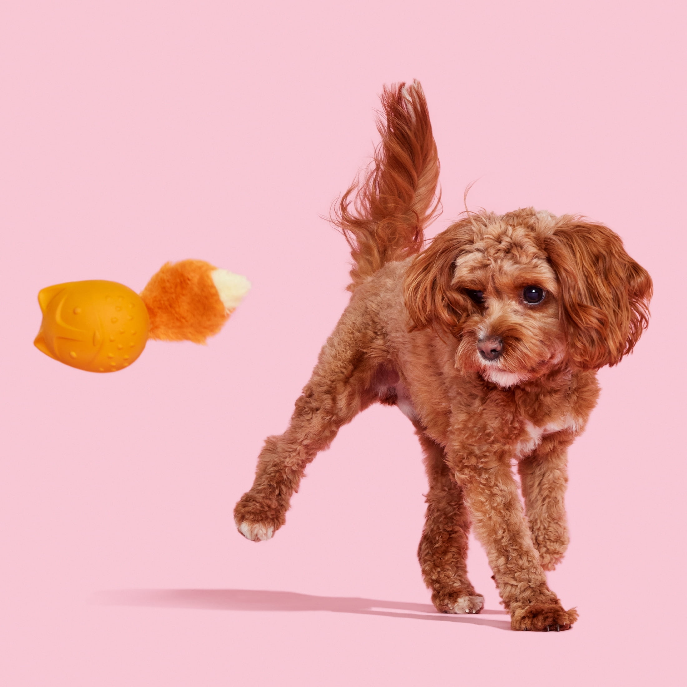 BARK Fox Franz the Fox Plush Dog Toy, Small to Medium Dogs