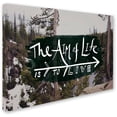 thumbnail image 2 of Trademark Fine Art "The Aim of Life" Canvas Art by Leah Flores, 2 of 3
