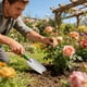 thumbnail image 1 of CaiYueKe Stainless Steel Garden Trowel Hand Tool for Digging Planting Weeding Soil Transplanting Outdoor Gardening Tools with Ergonomic Handle, 1 of 7
