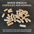 thumbnail image 2 of Suplemento Fadogia 600 mg 180 cápsulas Double Wood Supplements, 2 of 5