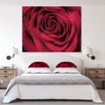 thumbnail image 2 of Designart - Red Rose Petals with Rain Droplets - Floral Art Canvas Print, 2 of 2