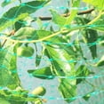 thumbnail image 4 of Heavy Anti Bird Netting Net Garden Fence And Crops Protective Fencing Mesh Anti Bird Deer Cat Dog Chicken Net Fishing Net(4m*10m), 4 of 5