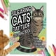 thumbnail image 2 of Gatos malhablados: Libro para colorear de divertidos memes de gatitos para la relajación de adultos (Tapa blanda - 2024), 2 of 5