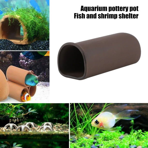 9+ Crystal Fish Tank