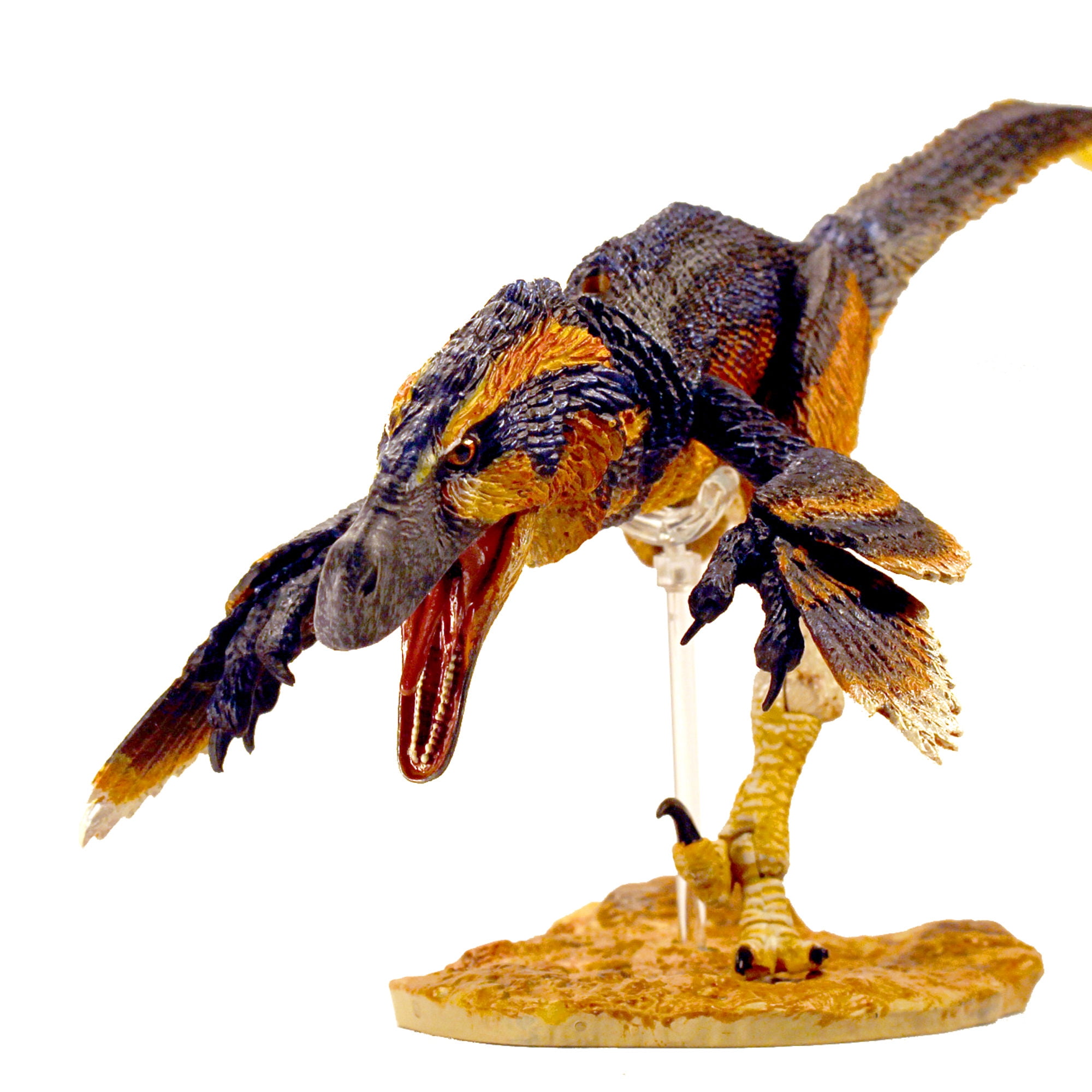 Beasts Of The Mesozoic: Pyroraptor Olympius Fan's Choice 2nd Release - 1/6th Scale Dinosaur Action Figure - 12" Articulated Collectible, Hand-Painted