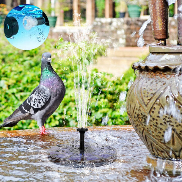 Pompe de fontaine solaire pour bain d'oiseau Fontaine à énergie