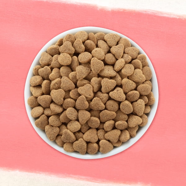 purina beyond indoor