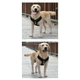 thumbnail image 2 of Yidarton Pet Leash New Big Dog Chest Strap Reflective Breathable Dog Rope Walking Dog Rope Dog Supplies Black, 2 of 11