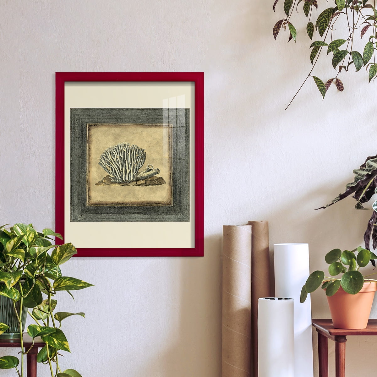 Mini Exotic Coral IX (U) - Framed Print w/glass - Cherry Red