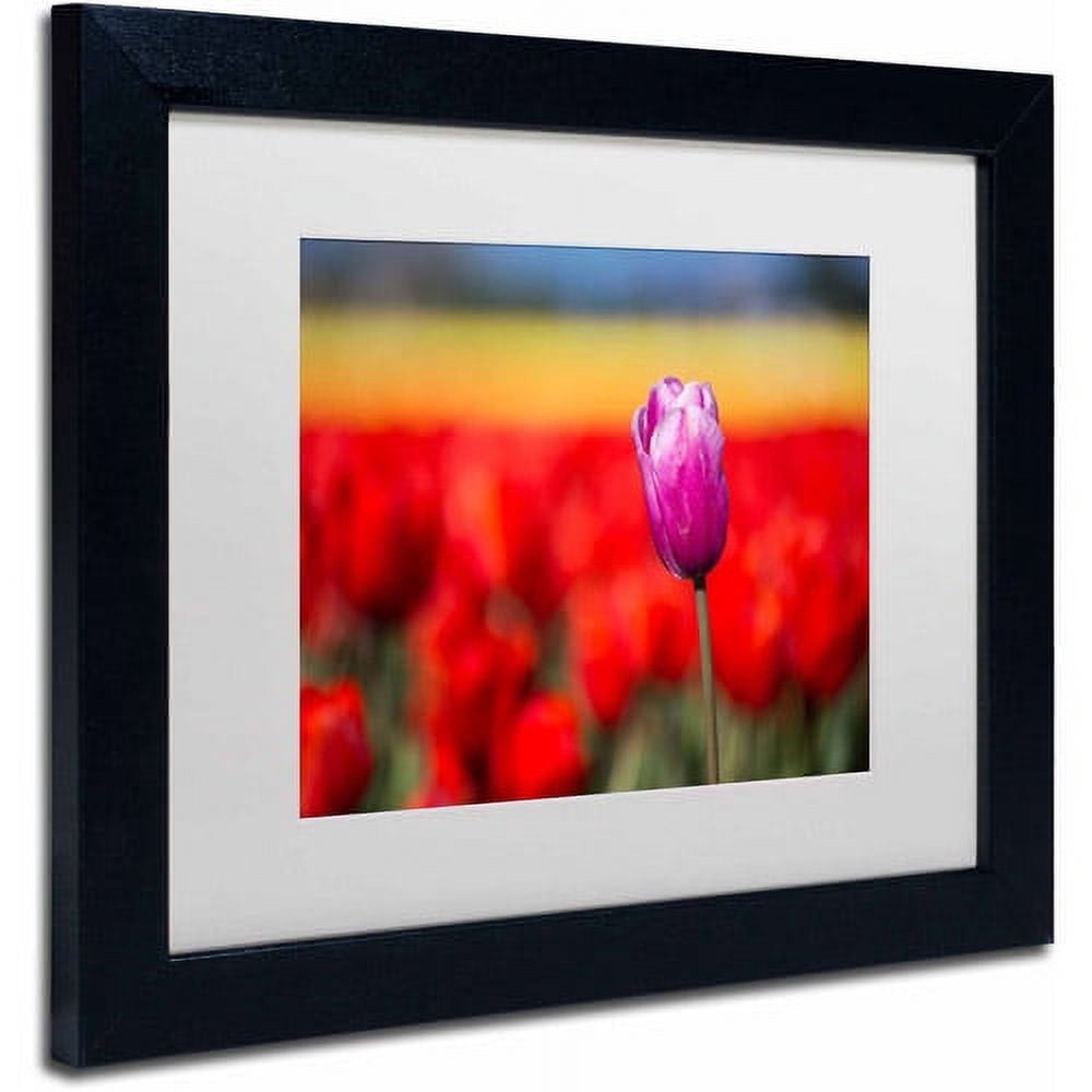 Trademark Fine Art "Purple Tulip" Canvas Art by Pierre Leclerc, White Matte/Black Frame