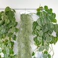thumbnail image 4 of unbranded Suculentas Artificiales Para De Interiores Y Miniaturas, 4 of 6