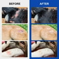 thumbnail image 3 of Cat Wound Care Spray External Use for Pet Skin Wounds Burns and Scratchesw, 3 of 8