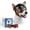 Orange, variant on NAMSAN Anti-UV Dog Goggles with Cool Motorcycle Pet Helmet for Outdoor Activities