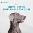 thumbnail image 3 of PRN Pharmacal Duralactin Joint Health Supplement Chews for Dog and puppies, Vanilla Flavor, 60 Count, 3 of 7