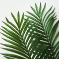 thumbnail image 3 of Nearly Natural 5' Paradise Palm Artificial Tree, 3 of 8