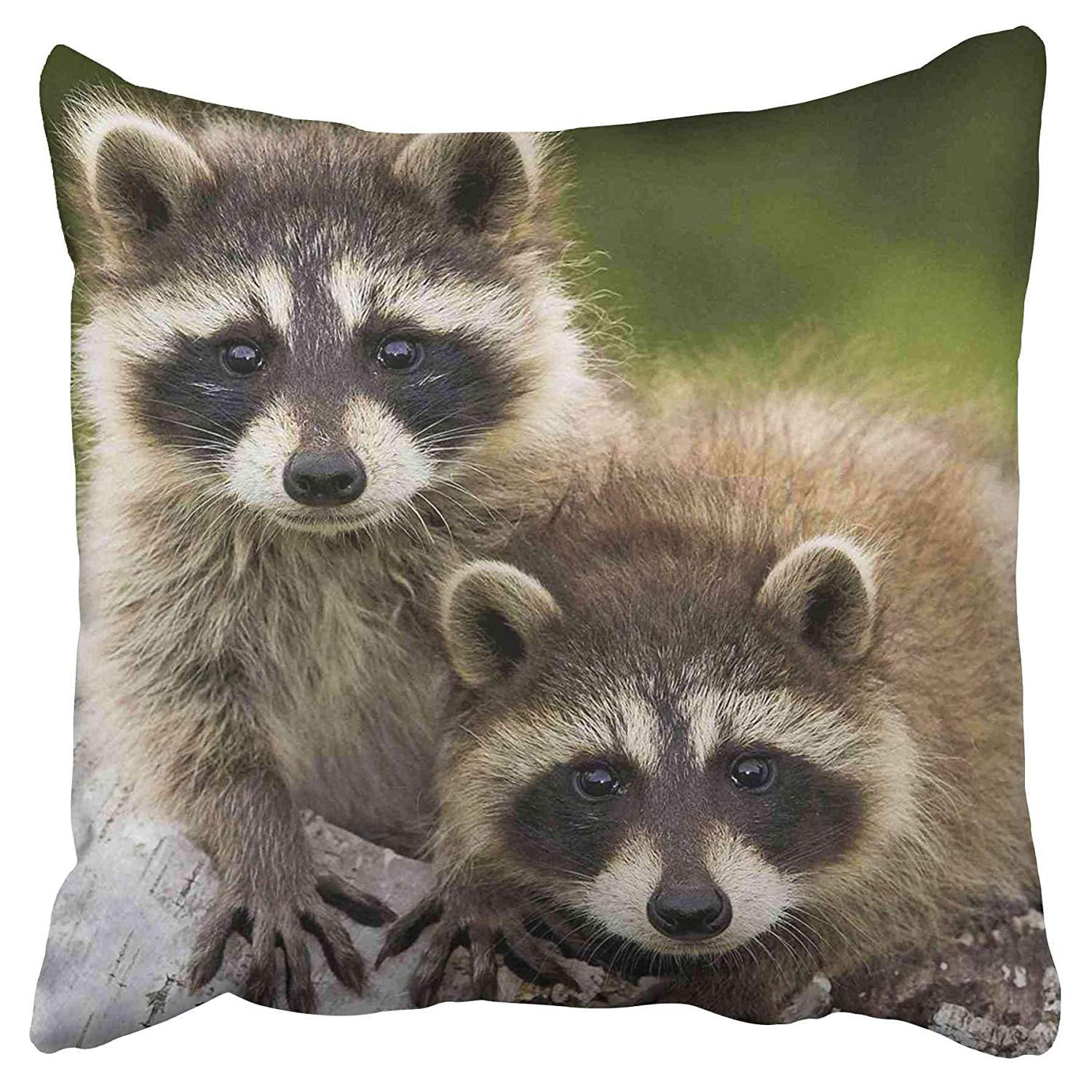 ECCOT Lovely Arrival Pretty Raccoon Soft Pillow Case Pillow Cover 20x20 inch - Walmart.com ...