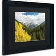 thumbnail image 2 of Trademark Fine Art "Splash of Gold" Canvas Art by Michael Blanchette Photography Black Matte, Black Frame, 2 of 4