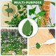 thumbnail image 5 of 60 Clips Invisibles para Plantas Trepadoras, Dispositivos de FijacióN de Plantas Autoadhesivos, 5 of 7