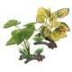 thumbnail image 5 of 2 piezas de decoraciones realistas para peceras, plantas de acuario, plantas acuáticas realistas, plantas de plástico para peceras, decoración de acuario, 5 of 8
