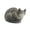 F, variant on YIFAEUX Simulation Cat Figurine PVC Solid Kitten Model Realistic Miniature Cute Animal Figure Model Desktop Ornament Car Home Decoration