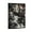 Frame-style, variant on Japan Manga Series Bungo Stray Dogs Anime Art Poster 9 Gifts Canvas Painting Poster Wall Art Decorative Picture Prints Modern Decor 16x24inch(40x60cm)