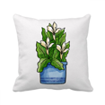thumbnail image 1 of Potted Magnolia Throw Pillow Sleeping Sofa Cushion Cover, 1 of 3