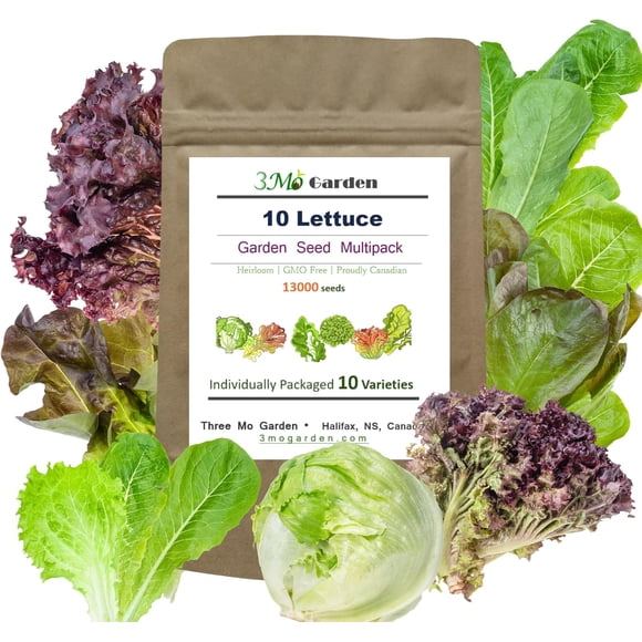 HIGHGW Heirloom Lettuce Garden Seed Multipack, 10 Varieties, 13000 Seeds, Non-GMO, Looseleaf, Butterhead & Romaine Continuous Harvest for Home Growing Indoor & Outdoors