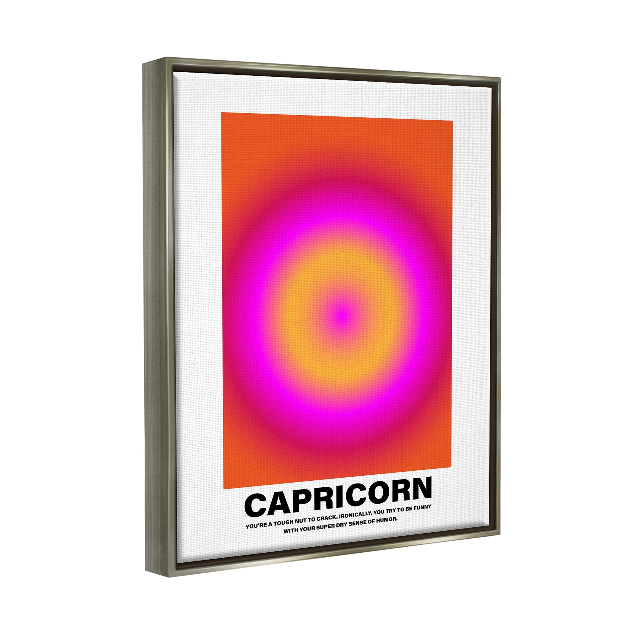 Stupell Industries Funny Capricorn Astrology Abstract Painting Gray Floater Framed Canvas Art Print Wall Art, 25 x 31