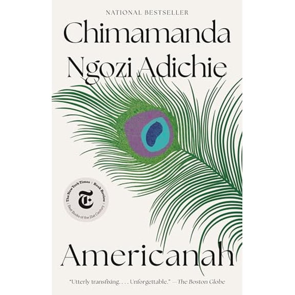 Pre-Owned Americanah (Paperback) 0307455920 9780307455925