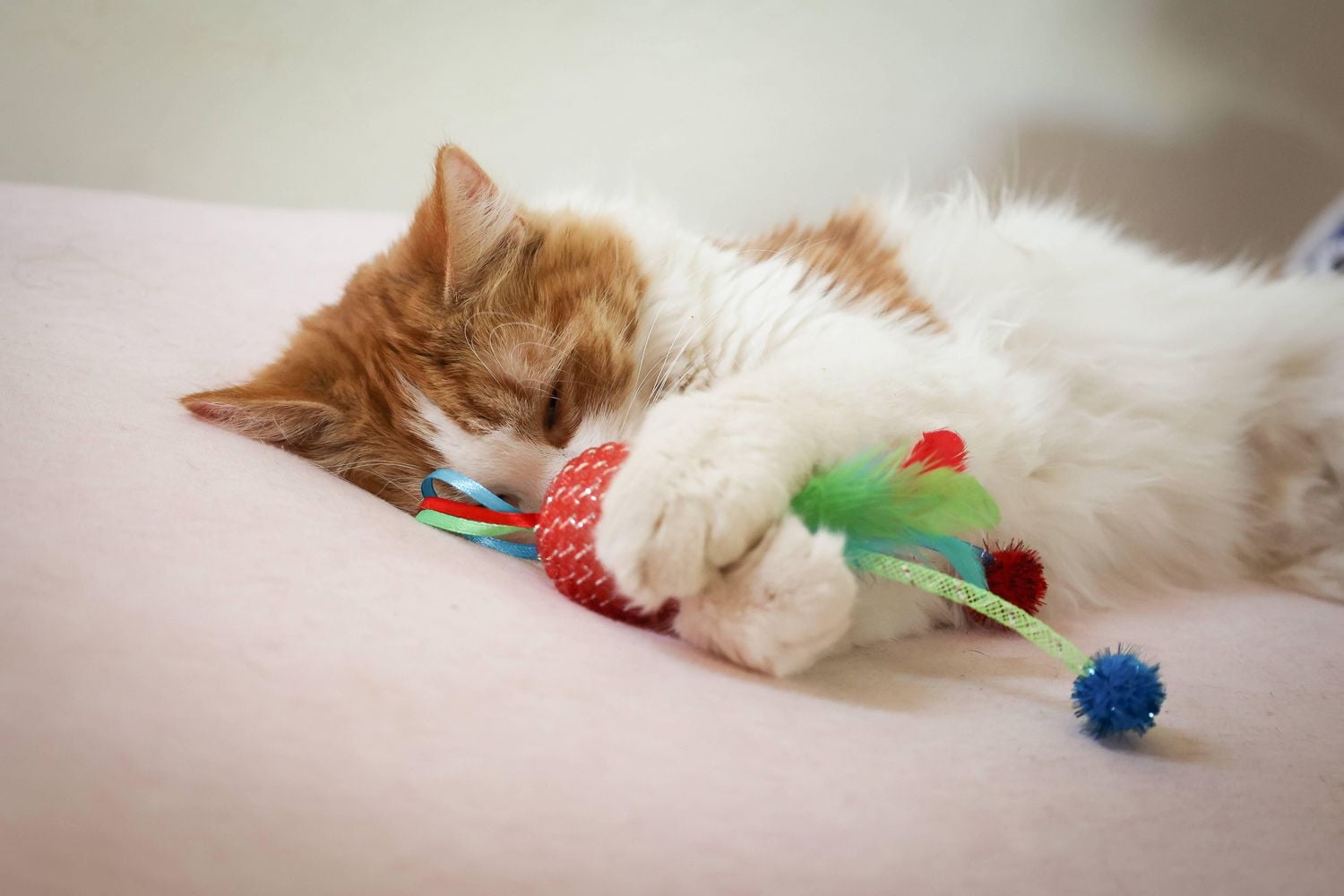 Vibrant Life Mesh Feather Ball, jouet pour chat, couleurs assorties, 1 paquet