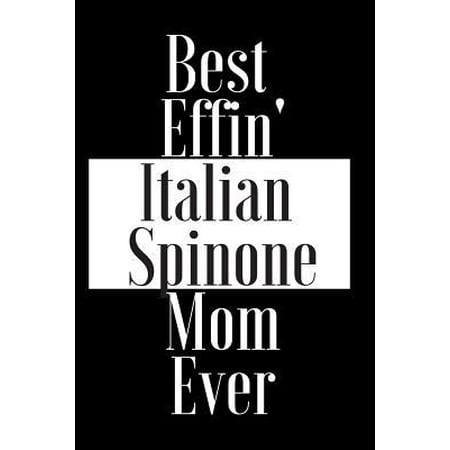 Best Effin Italian Spinone Mom Ever: Gift for Dog Animal Pet Lover - Funny Notebook Joke Journal Planner - Friend Her Him Men Women Colleague Coworker (Best Looking Italian Women)
