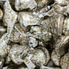 Wedding Candy Bulk Hershey's Kisses with I Do Plumes (Approx 75 Chocolate Candies)