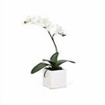 thumbnail image 2 of Torre & Tagus Orchid Potted Single Stem 16" - White, Ceramic, 2 of 3