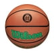 Wilson Evolution Officiel Taille Jeu Basket-Green – image 3 sur 5