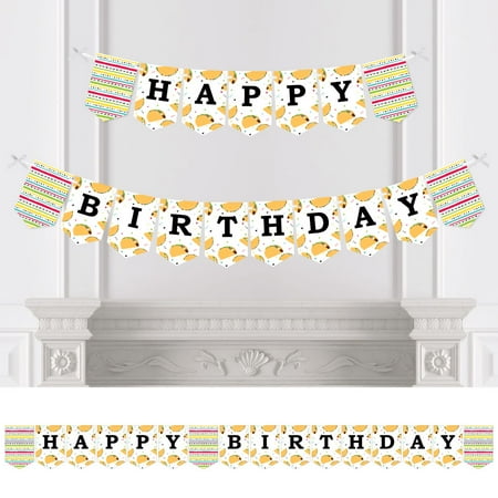 Big Dot of Happiness Taco 'Bout Fun - Fiesta Birthday Party Bunting Banner - Birthday Party Decorations - Happy Birthday
