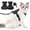 Black, variant on Walking Cat Harness,easy To Control,breathable,with Reflective Strips,adjustable Cat Collar And Soft Mesh,perfect For Cat Harness/backpack Use.
