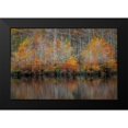 thumbnail image 2 of Burt, D. 14x11 Black Modern Framed Museum Art Print Titled - Autumn Cypress, 2 of 5
