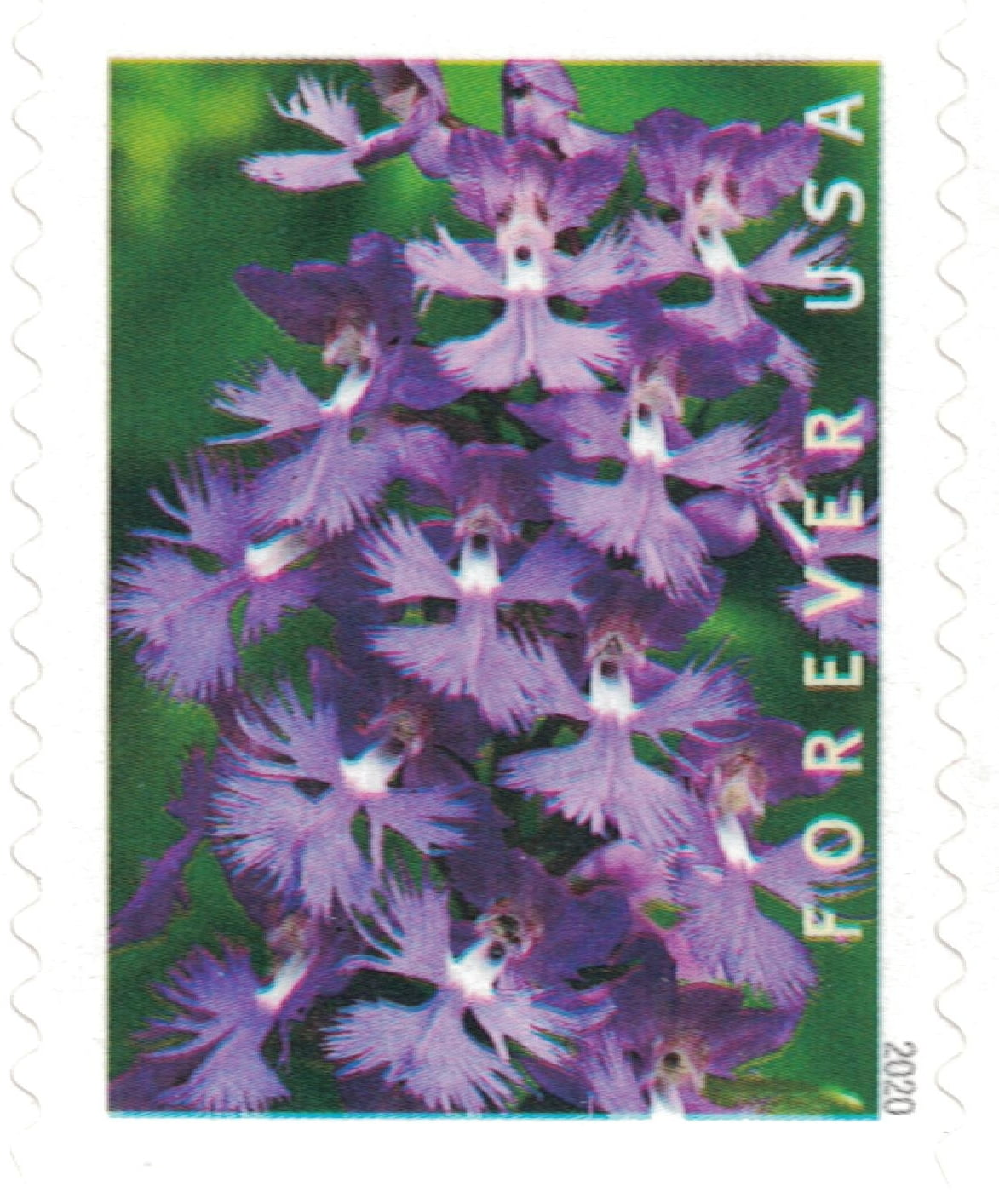 YBW USPS Wild Orchids Flowers Forever Stamps Postal First Class US Postage  Stamps Birthday Wedding Celebration Engagement Anniversary Bridal Shower