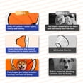 thumbnail image 3 of Adjustable Dog Recovery Collar for Medium Dogs - Soft Cone to Stop Licking Paws After Surgery - Prevent Licking Wounds - Pet-friendly Elizabethan Collar, 3 of 4