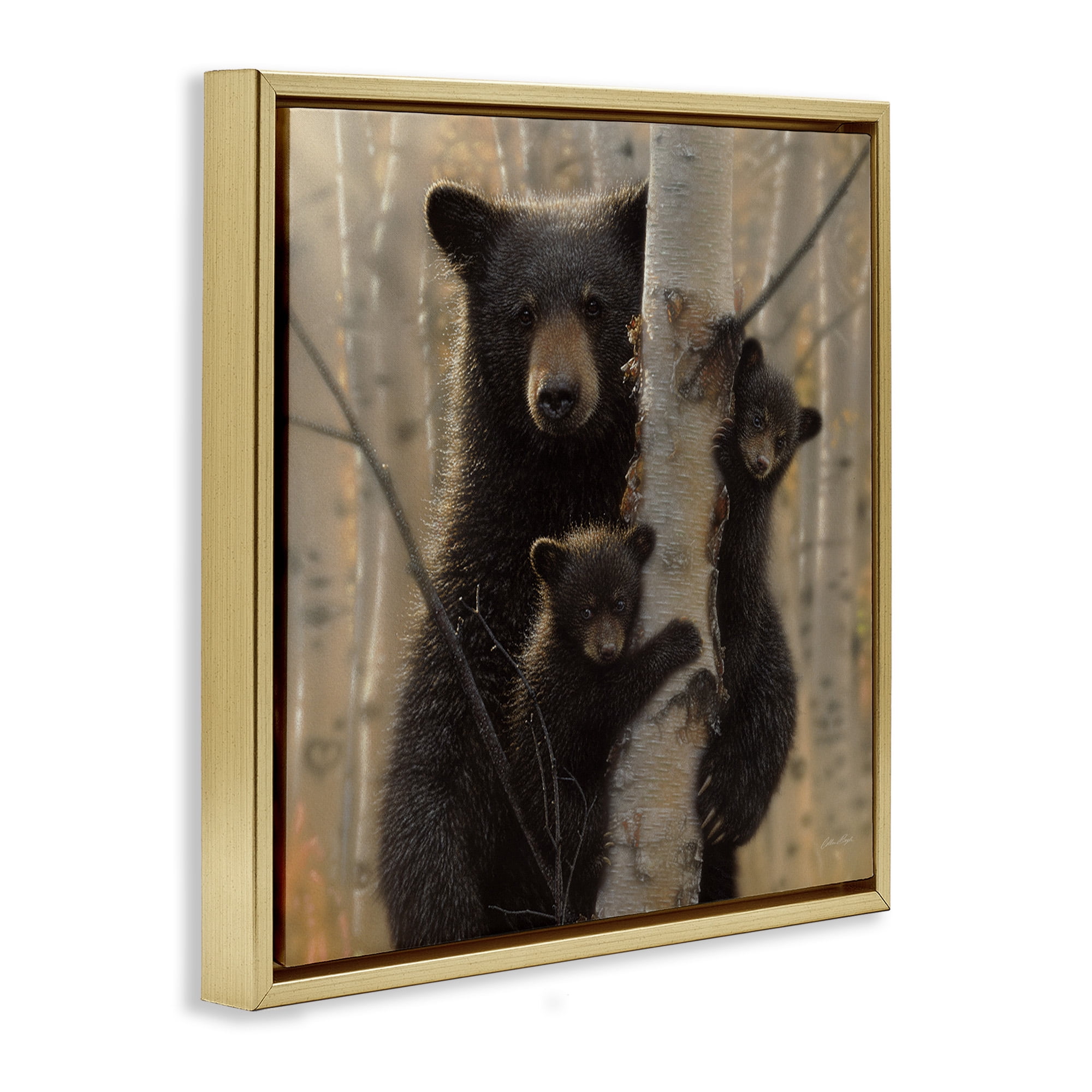Stupell Industries Forest Black Bear and Cubs Animals & Insects Photography Gold Floater Framed Canvas Art Print Wall Art, 18 x 18