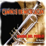 Caminos De Michoacan