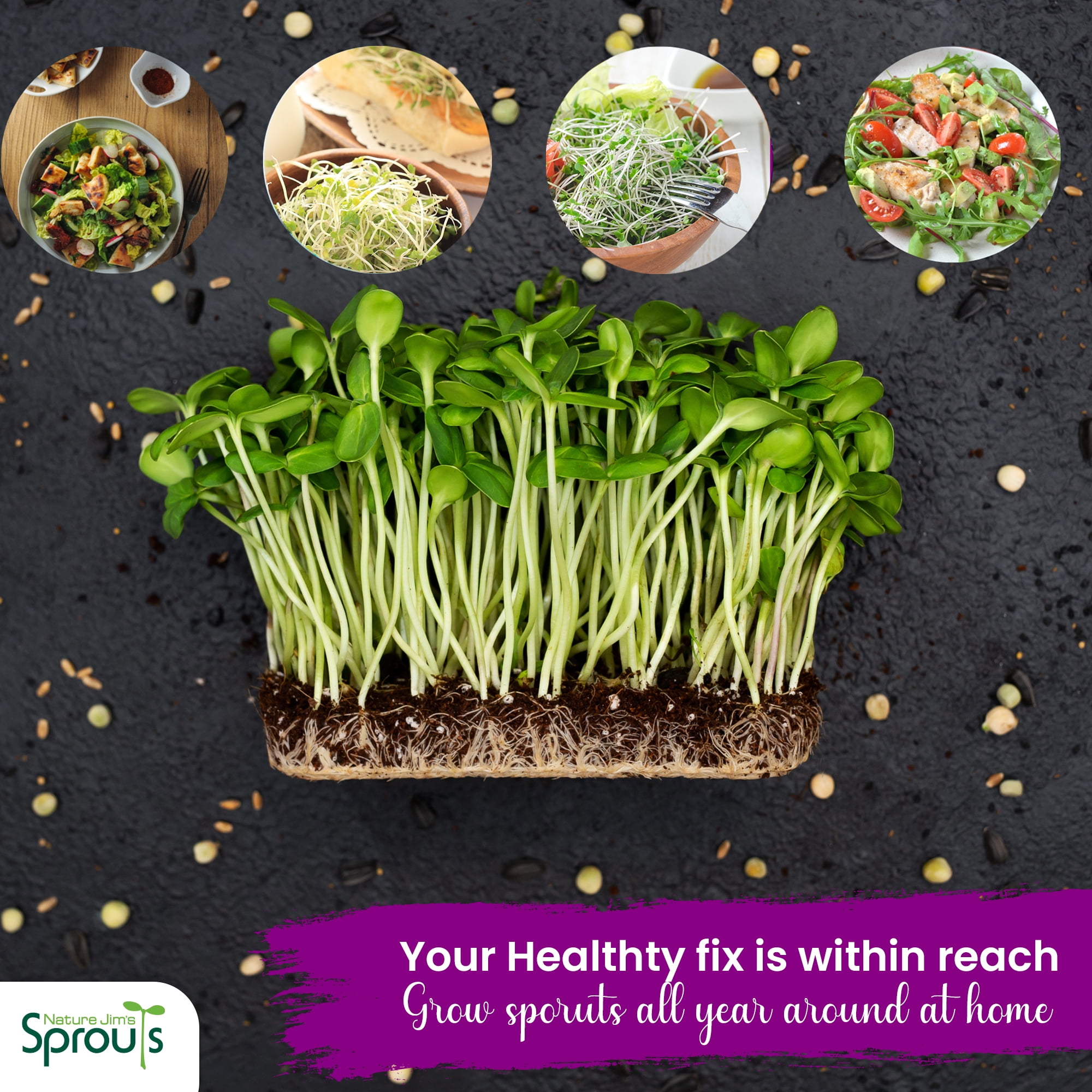 Nature Jim's 8 oz Broccoli Sprout Seeds, Organic Sulforaphane-Rich