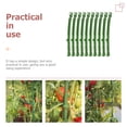 thumbnail image 3 of MasteelfCA 10pcs Plastic Plant Climbing Racks Plant Climbing Supports Garden Plant Climb Racks, 3 of 8