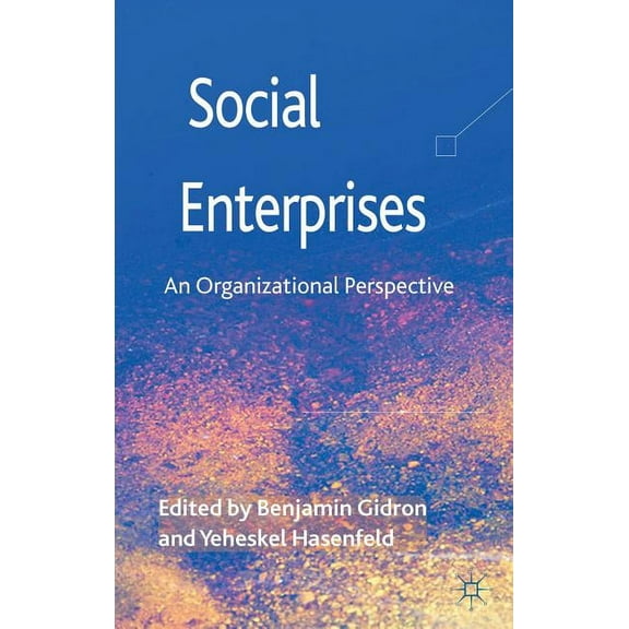 Social Enterprises: An Organizational Perspective, (Hardcover)
