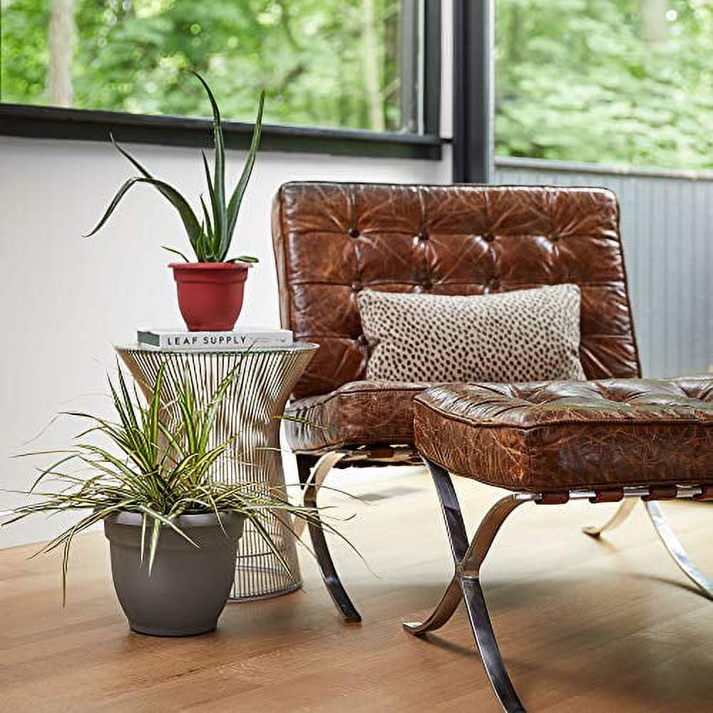 Bloem Ariana Planter - Self-Watering Disk, Durable Resin, Indoor/Outdoor - 16", Chocolate — Residential Use, Standard Application