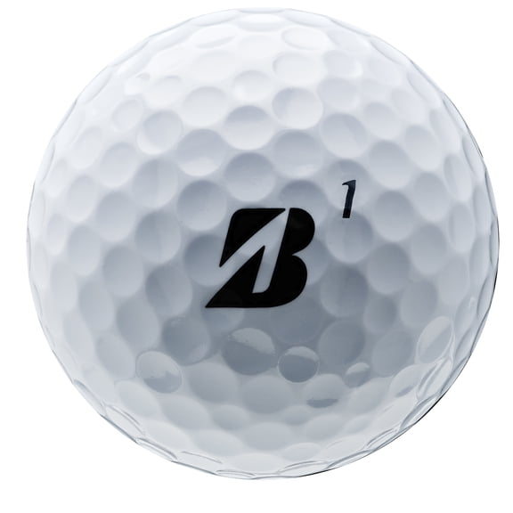 Bridgestone e6 Soft 1 Dozen Golf Balls New